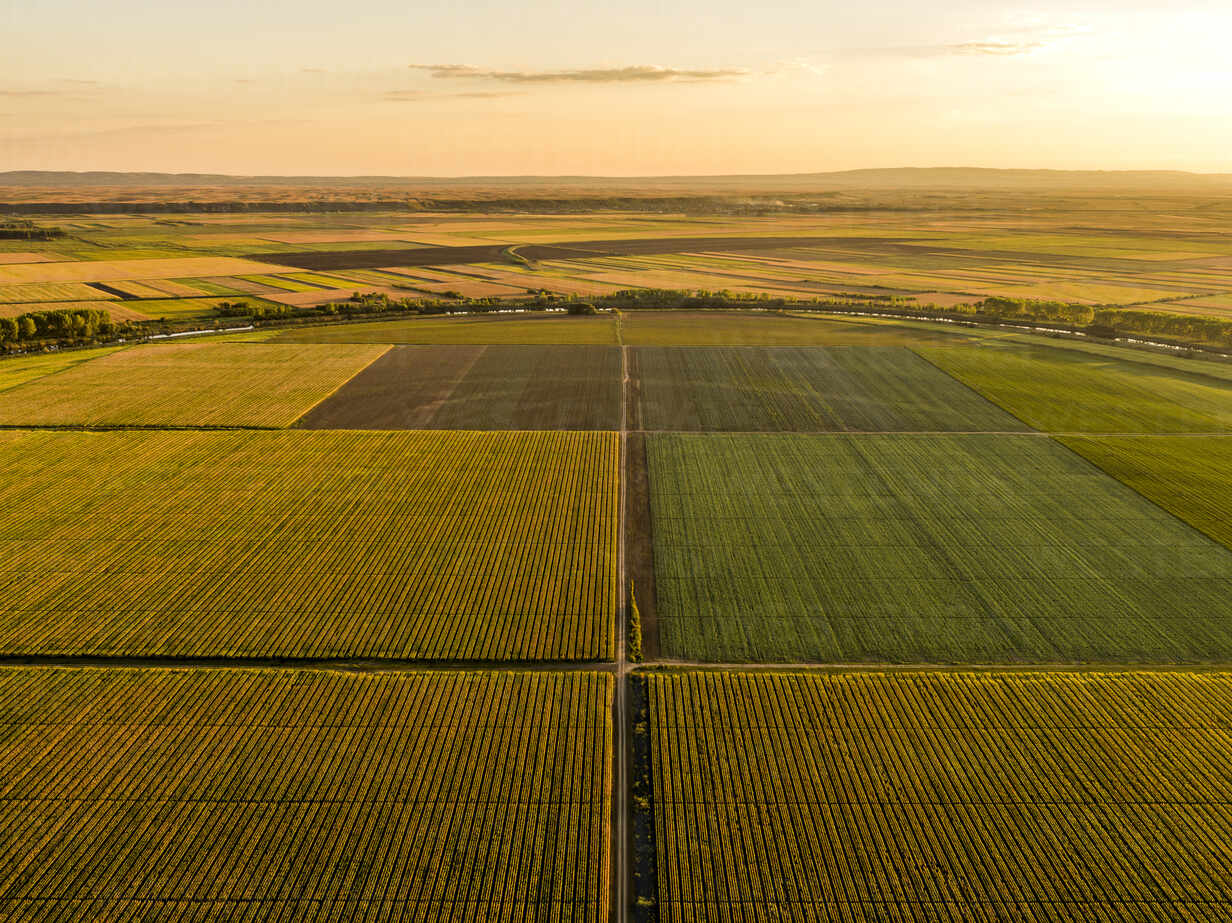 aerial-view-of-vast-agricultural-farm-fields-at-summer-sunset-NOF00366